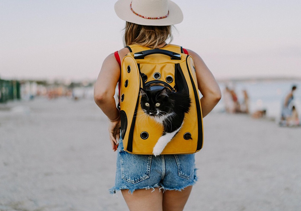 Qual é o processo para viajar com pet?