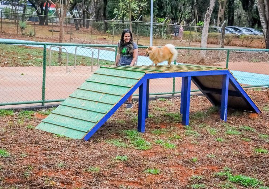 Brasília é reconhecida como cidade turística amiga dos animais