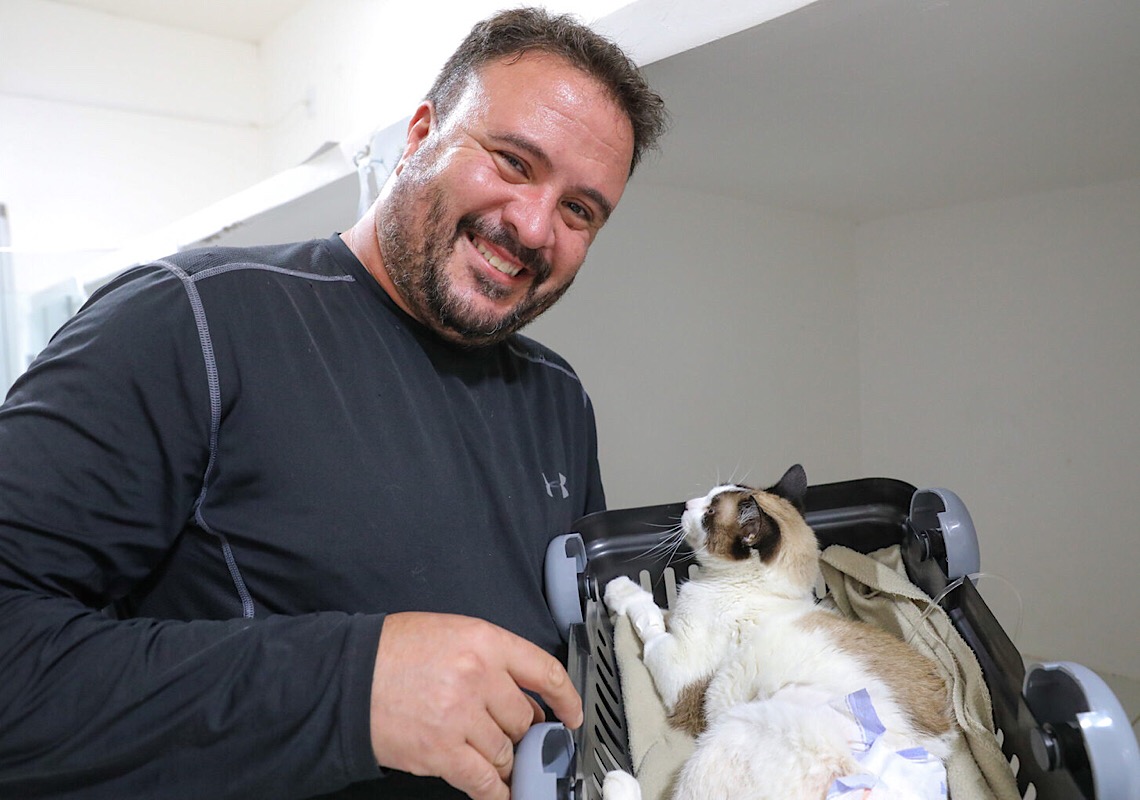 Março Amarelo alerta para os cuidados com as doenças renais em pets