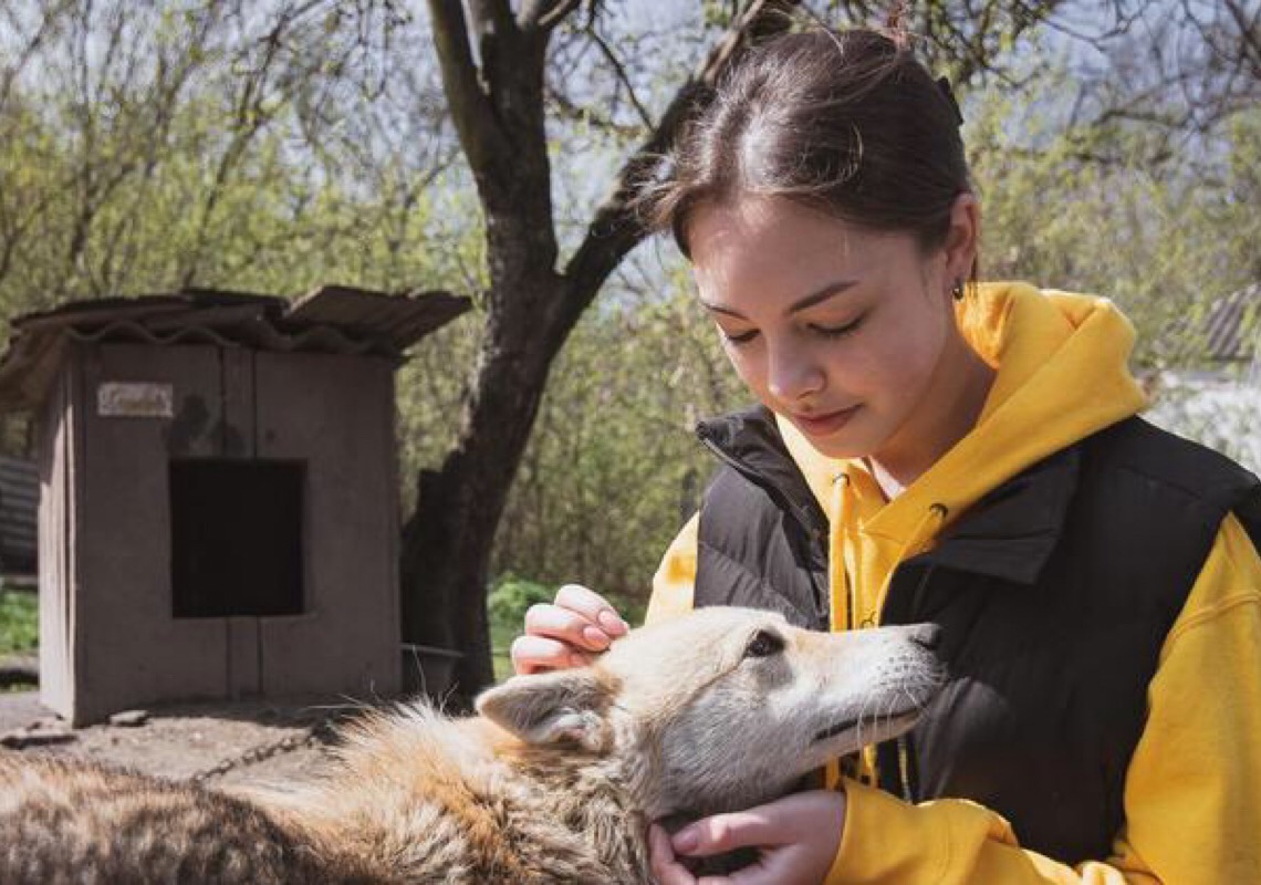 Em meio à guerra na Ucrânia, jovens se unem para proteger santuários de animais