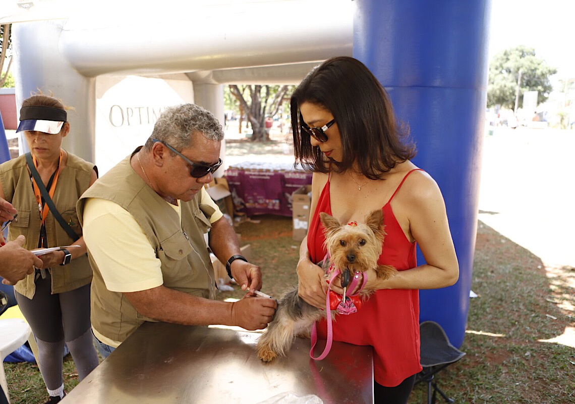 DF já imunizou mais de 121 mil cães e gatos contra a raiva em 2023