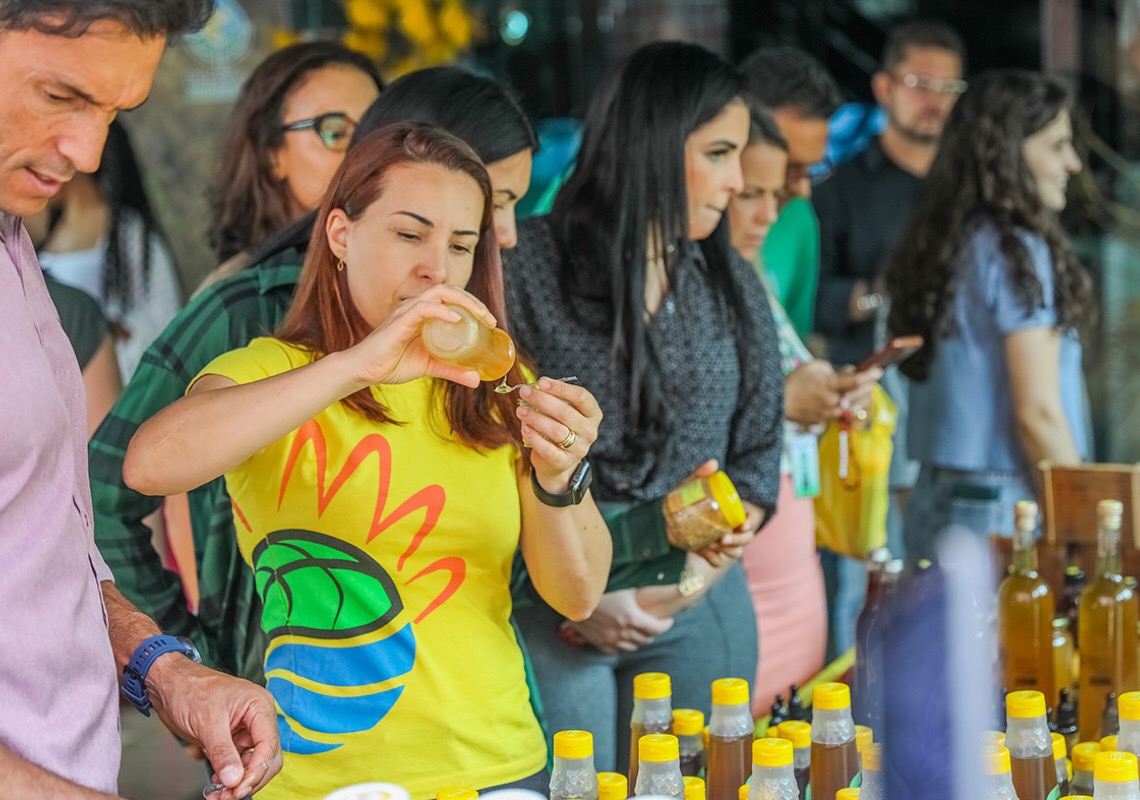 No Dia Nacional da Abelha, cartaz com espécies do Cerrado é lançado no DF