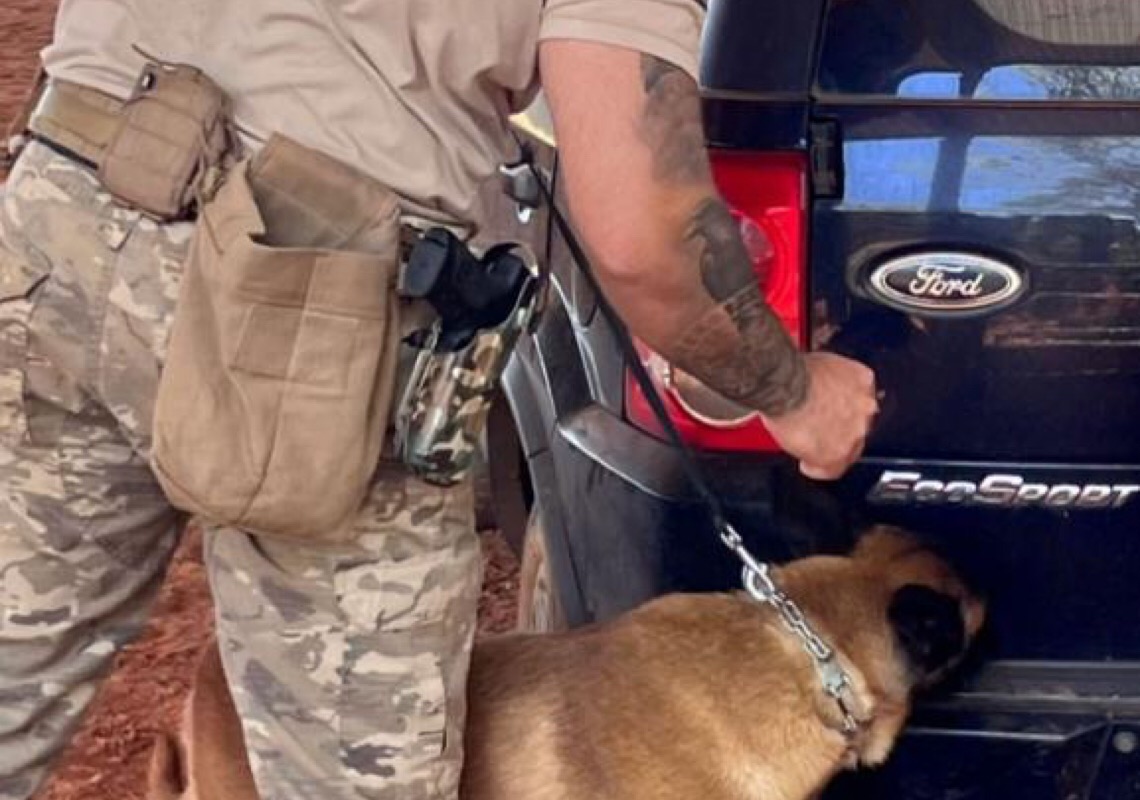 Polícia do Distrito Federal é destaque em competição nacional de cães farejadores