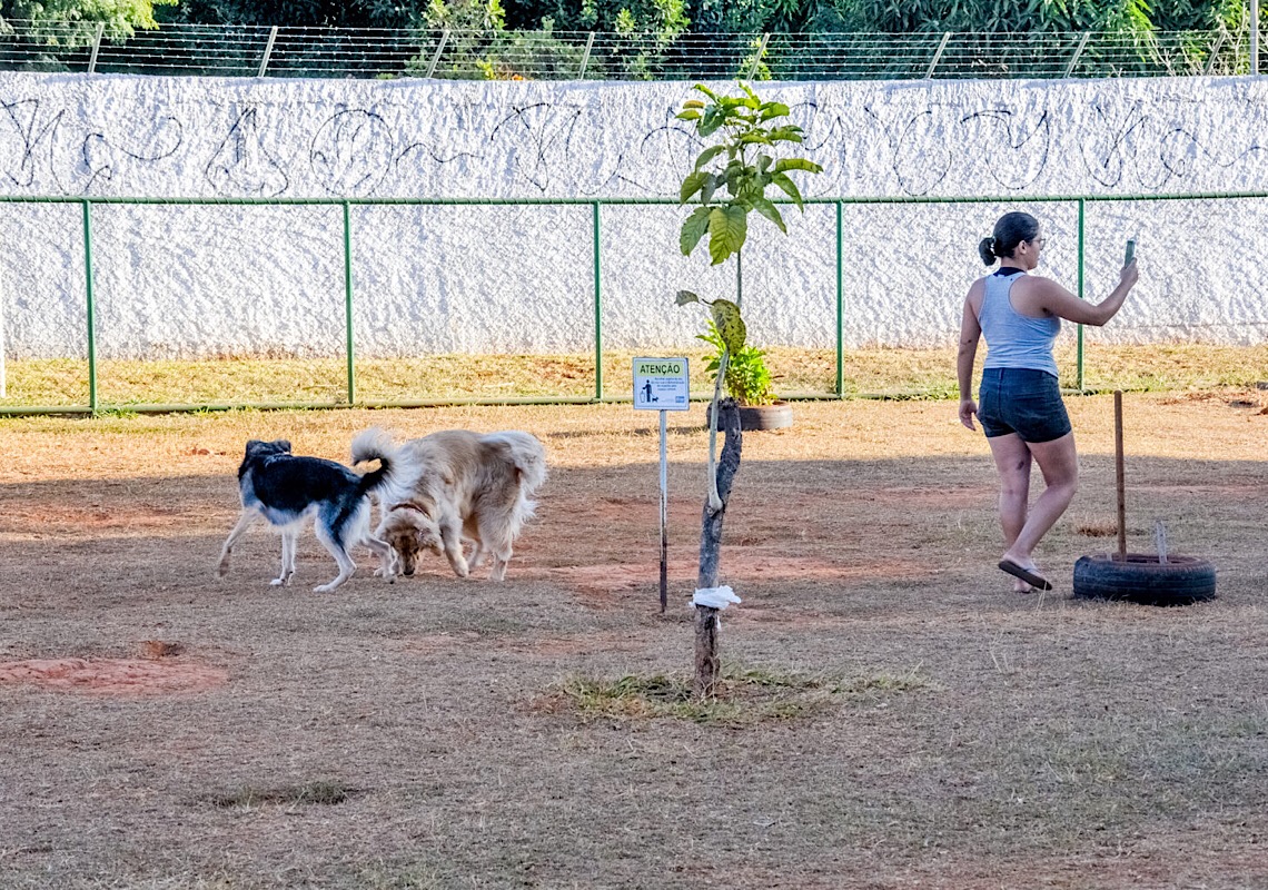 Inscrições abertas para a 2ª Cãominhada do Cruzeiro, Distrito Federal