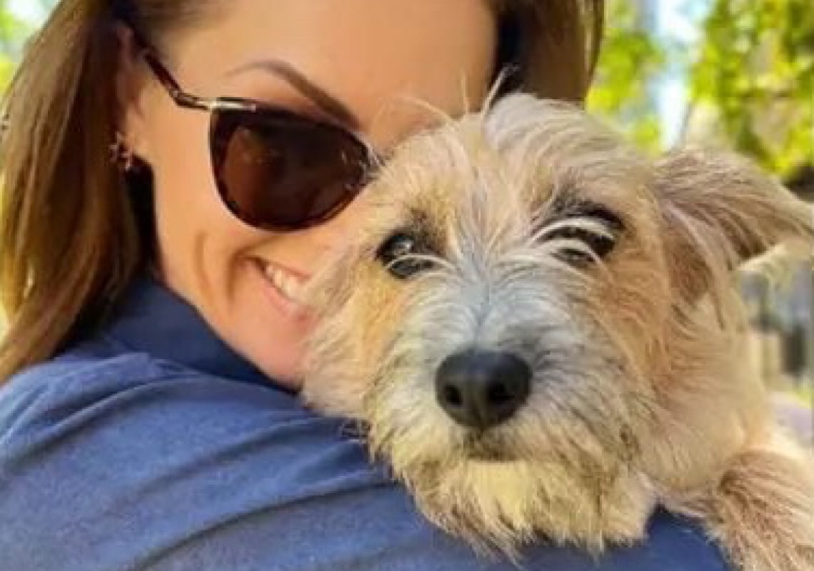 Me protegem em momentos que eu mais preciso, diz Ana Hickmann sobre cães
