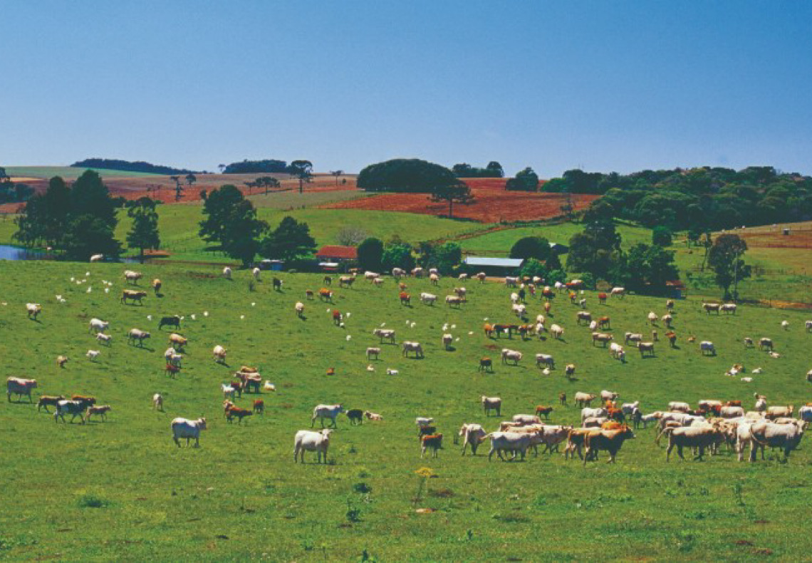 Turismo pelo Brasil é destaque na imprensa internacional