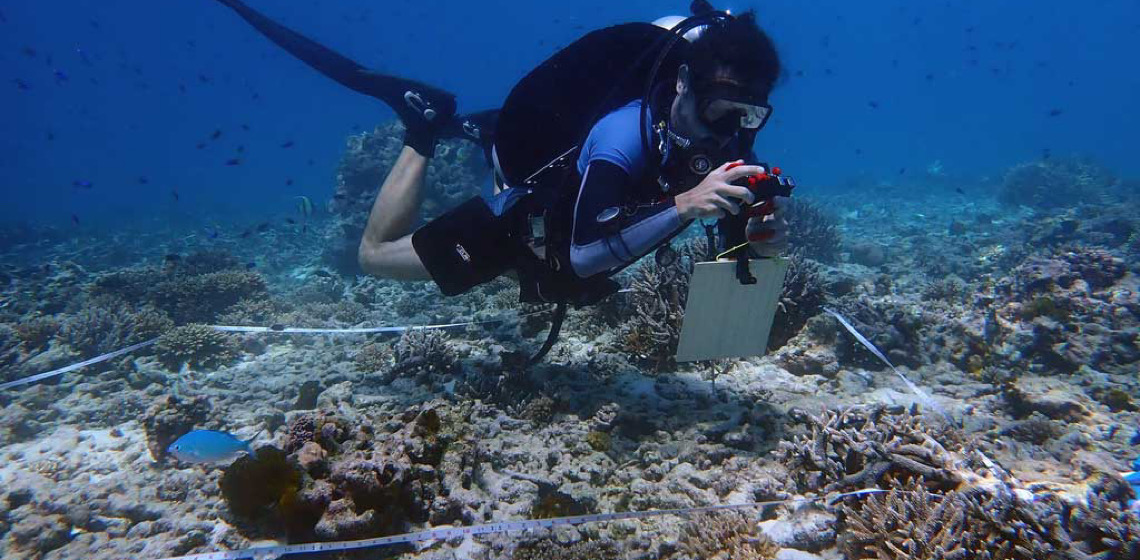 Seychelles: Descubra o que o país tem feito para proteger o meio ambiente