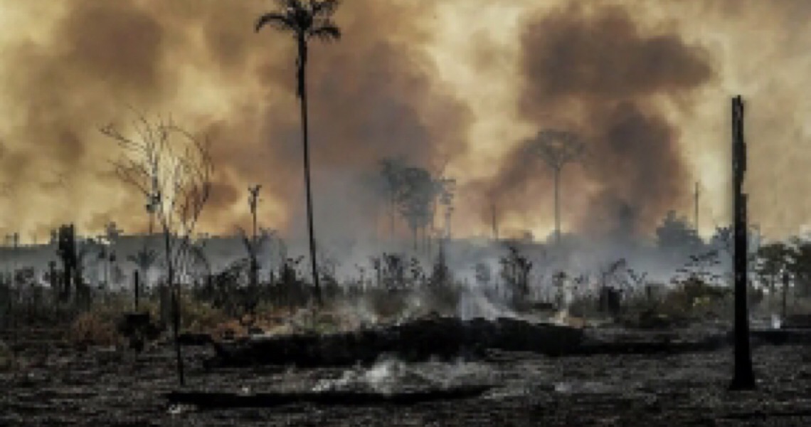 Desmatamento 2020: Quase o dobro de 2019 na Amazônia