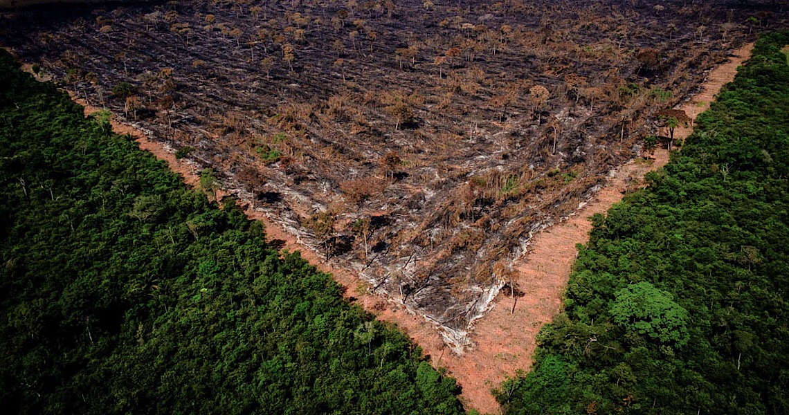 Coalizão de agro e ambientalistas envia carta a Maia e Alcolumbre contra ‘MP da grilagem’