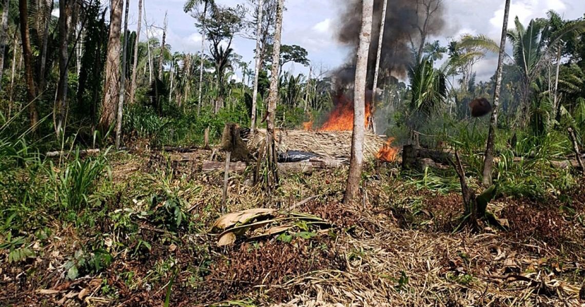 Liderança indígena do povo Uru-eu-wau-wau é assassinada em Rondônia