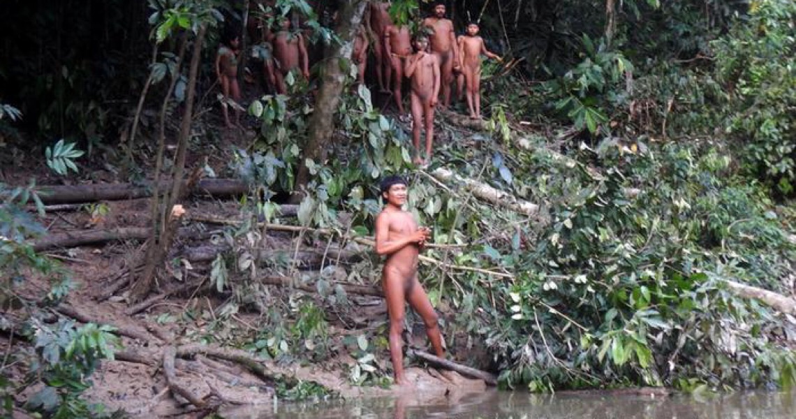 Na Amazônia, avanço da covid-19 e invasões ameaçam indígenas