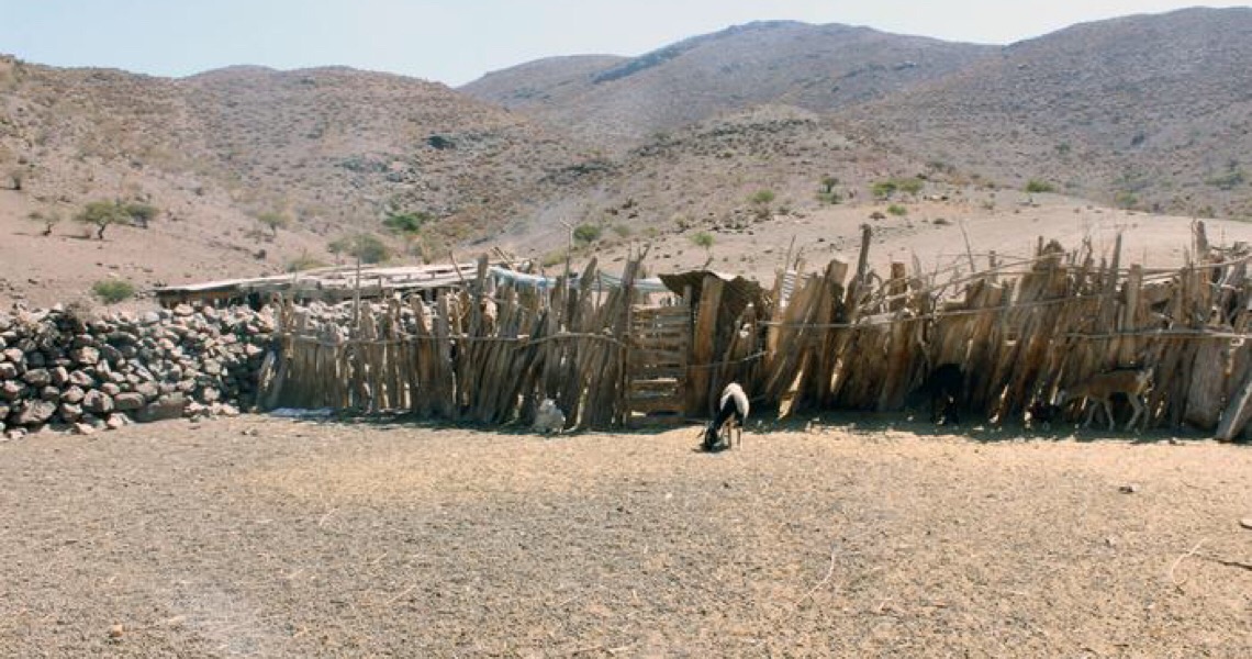 Cerca de 3,5 bilhões poderão viver em zonas de calor extremo até 2070, diz estudo