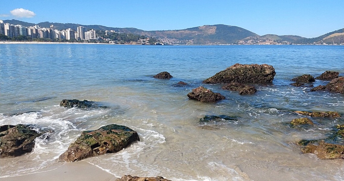 Águas claras e animais raros na Baía de Guanabara são efeitos da quarentena?