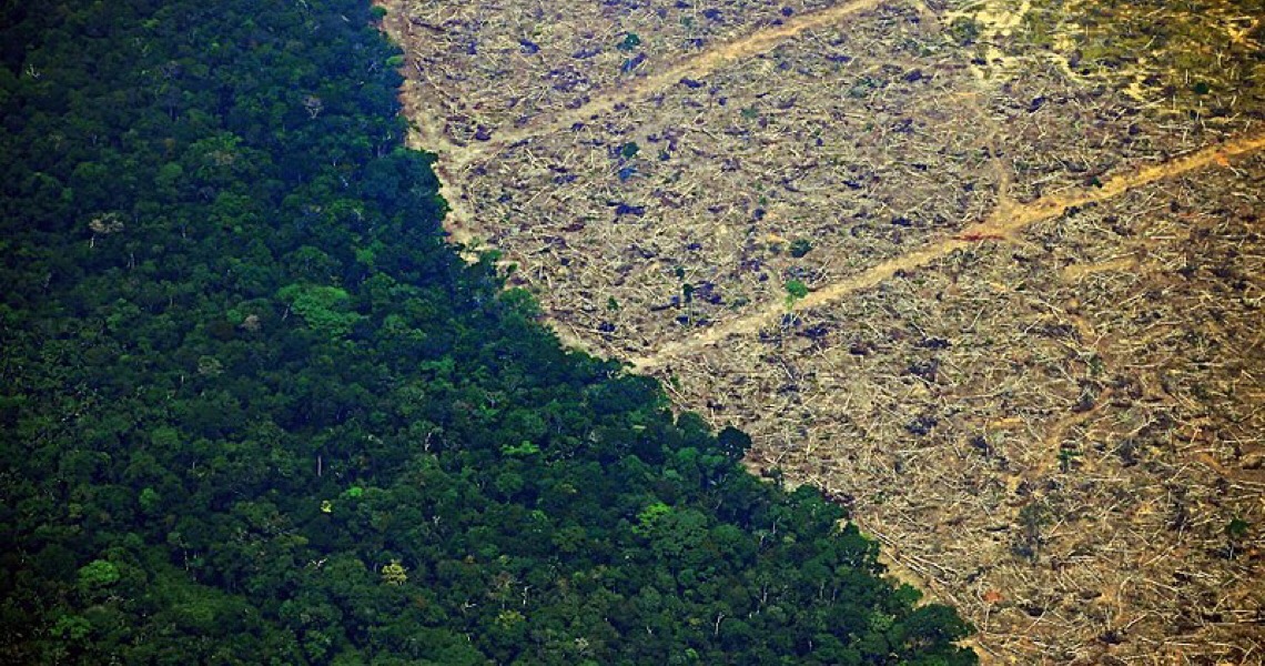Degradação ambiental é tema do Fórum Popular da Natureza com início na segunda-feira