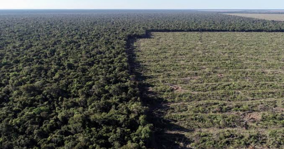 Tribunal bloqueia R$ 300 milhões de desmatadores da Amazônia