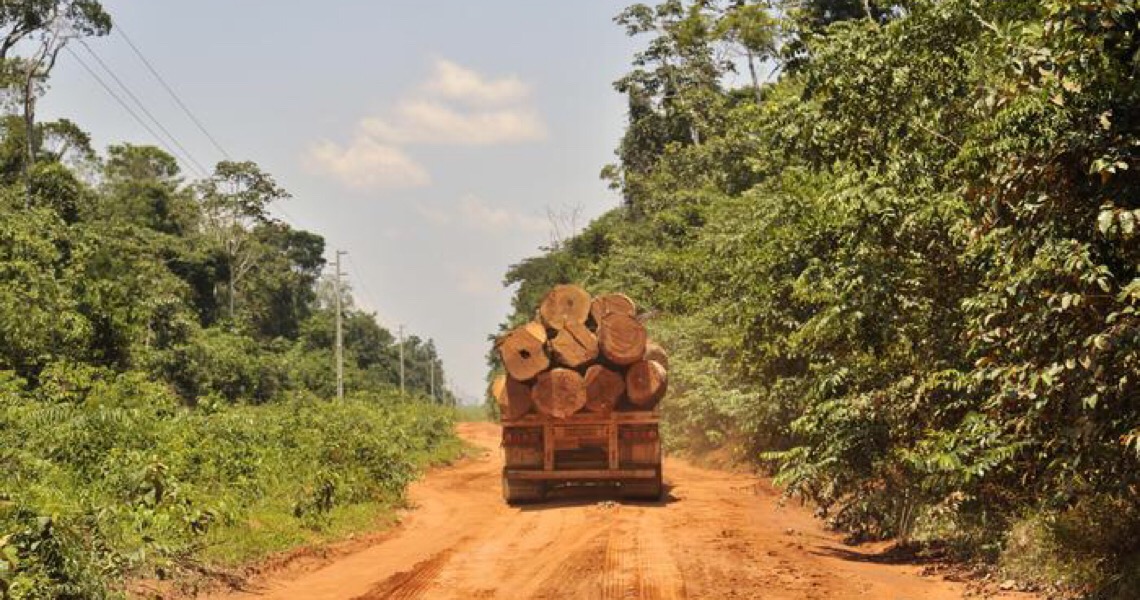 União Europeia quer boicote a produtos de áreas desmatadas