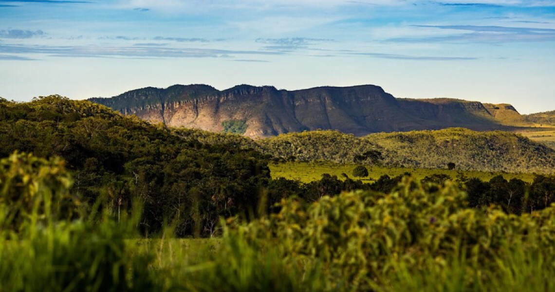 Chapada dos Veadeiros: Governo de Goiás prepara parque em área alvo de desmatamento