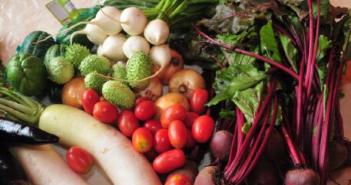 Selo de Boas Práticas Agropecuárias aumenta faturamento de produtores no Distrito Federal