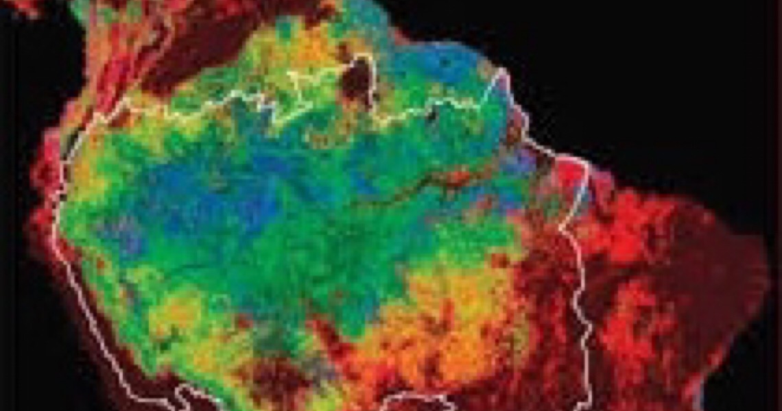 Brasil aumenta emissões de CO2 em 2020 enquanto o mundo diminui