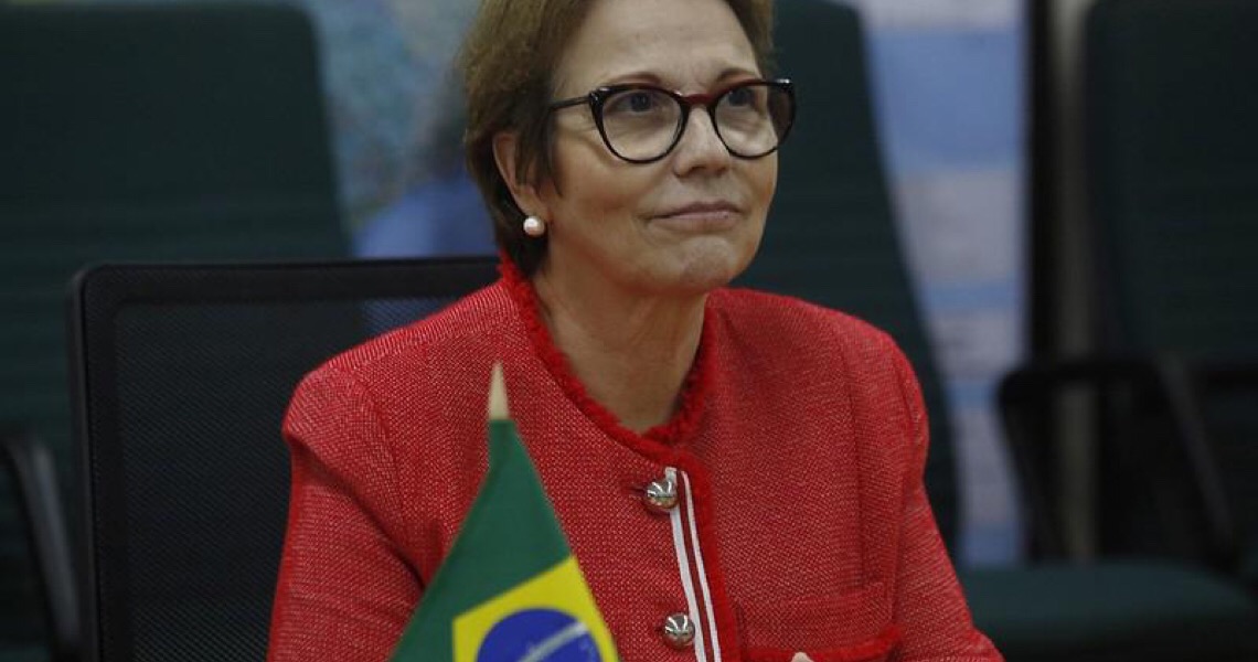 'Agronegócio não precisa da Amazônia': Ministra deve transformar palavras em ações, diz especialista