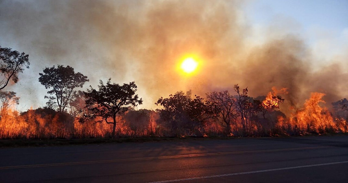Começam as queimadas controladas para prevenir incêndios