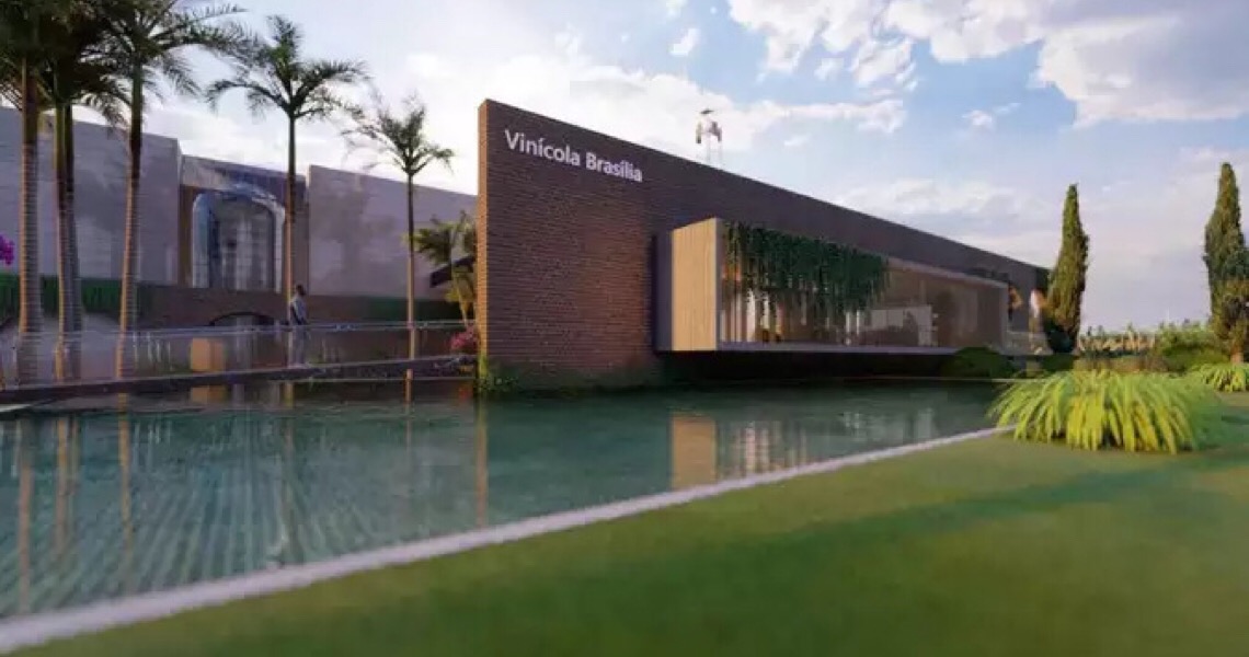 Brasília ganhará primeira vinícola com rótulos 100% produzidos na capital