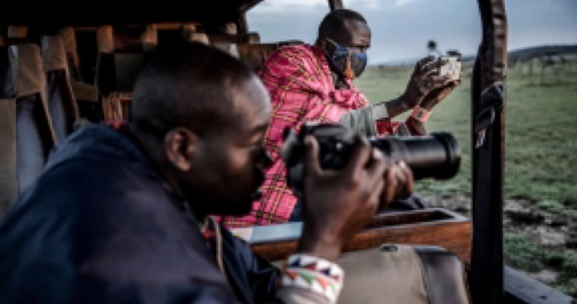 Crise põe em risco animais na África