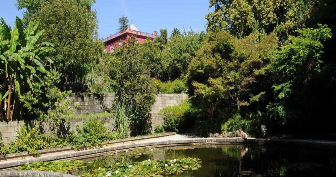 Jardim Botânico do Porto abriu portas para visitas norturnas até setembro