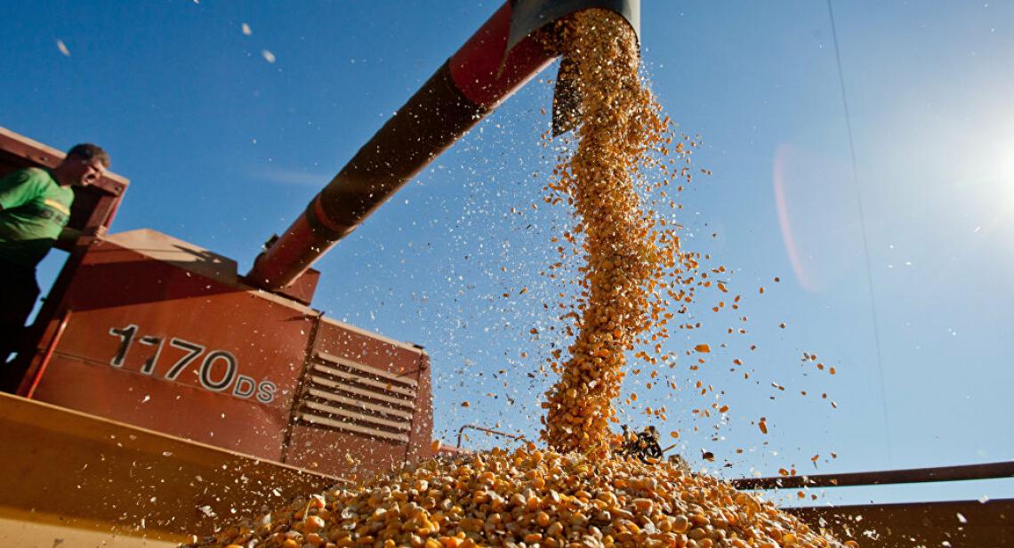 Economia brasileira sofre impacto negativo de não diversificar exportação, diz economista