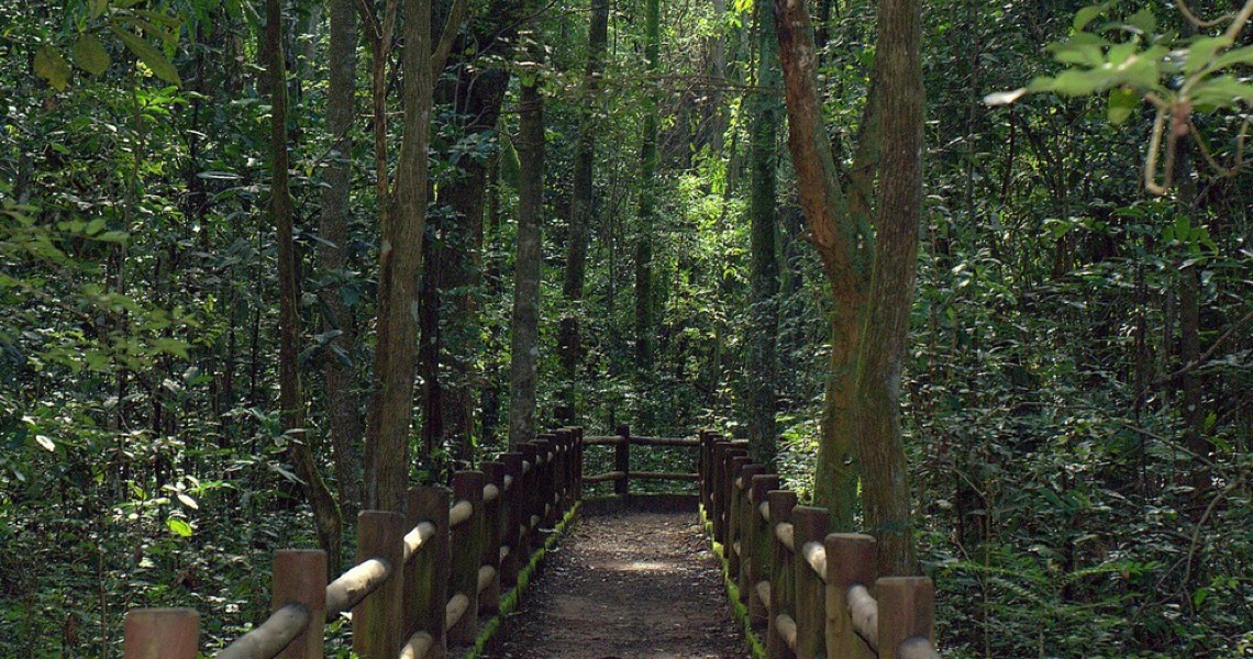 Floresta Nacional de Brasília será concedida à iniciativa privada junto com Parque Nacional