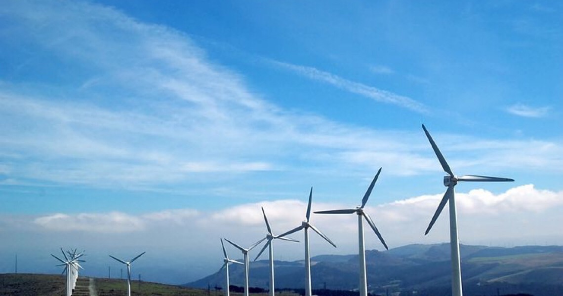 Empresas apostam em energia renovável