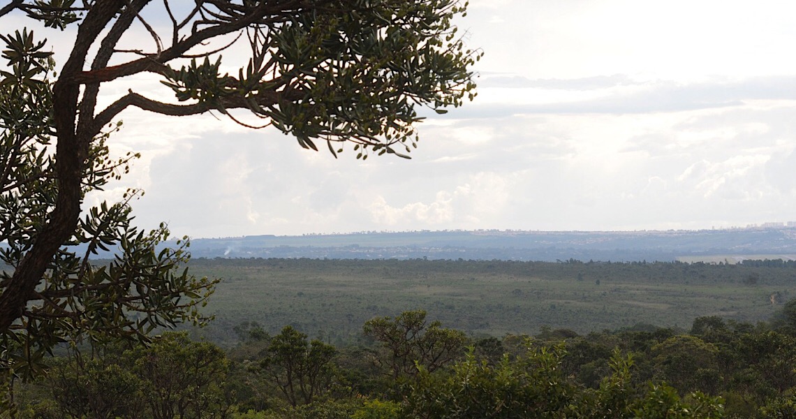 Comitê acompanhará preservação do Cerrado