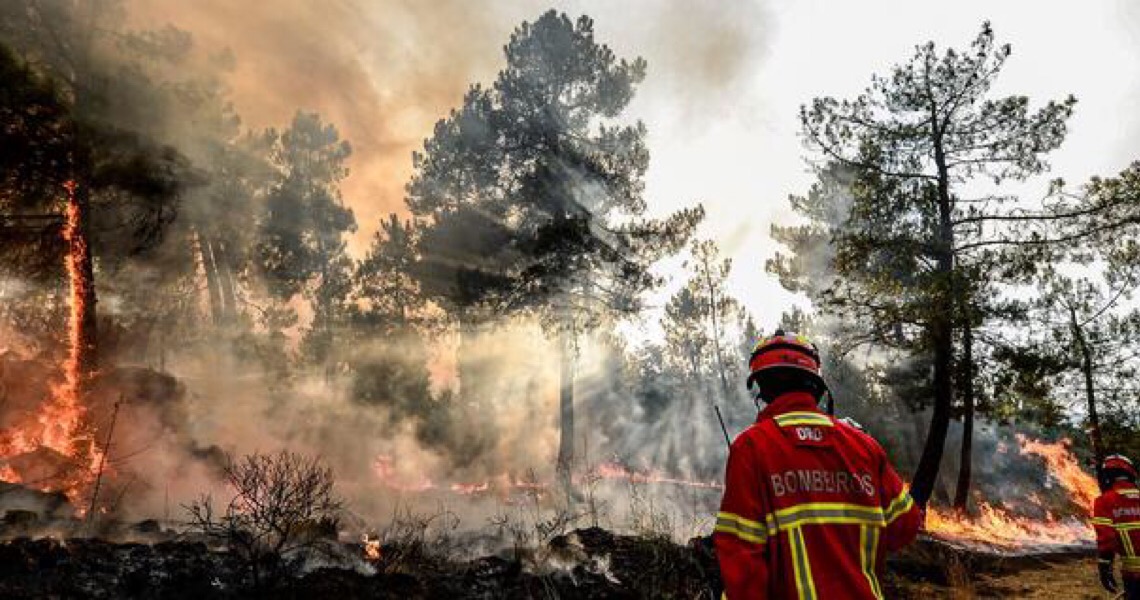 Em 90 anos, Portugal com o ano mais quente