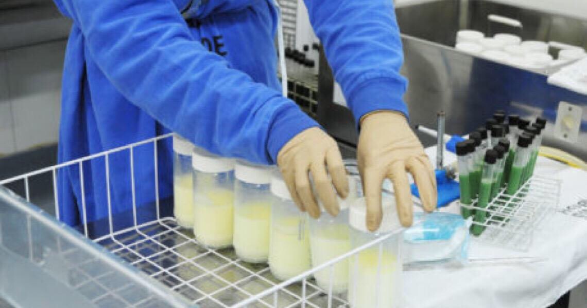 Entenda a importância dos bancos de leite humano