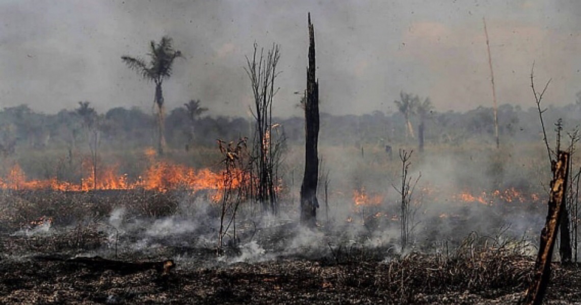 Governo repassa a militares 84% de recursos recuperados da Lava Jato para a Amazônia