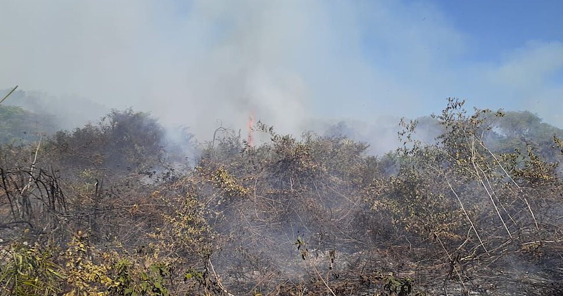 Equipes lutam para conter queimadas no Pantanal