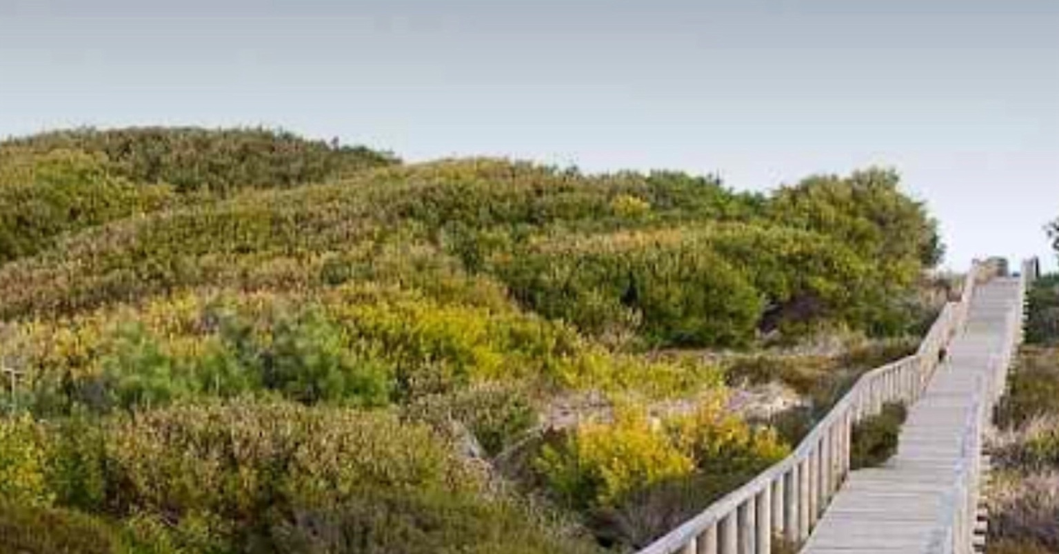 Reserva das Dunas de S. Jacinto passa a ter gestão partilhada com município de Aveiro