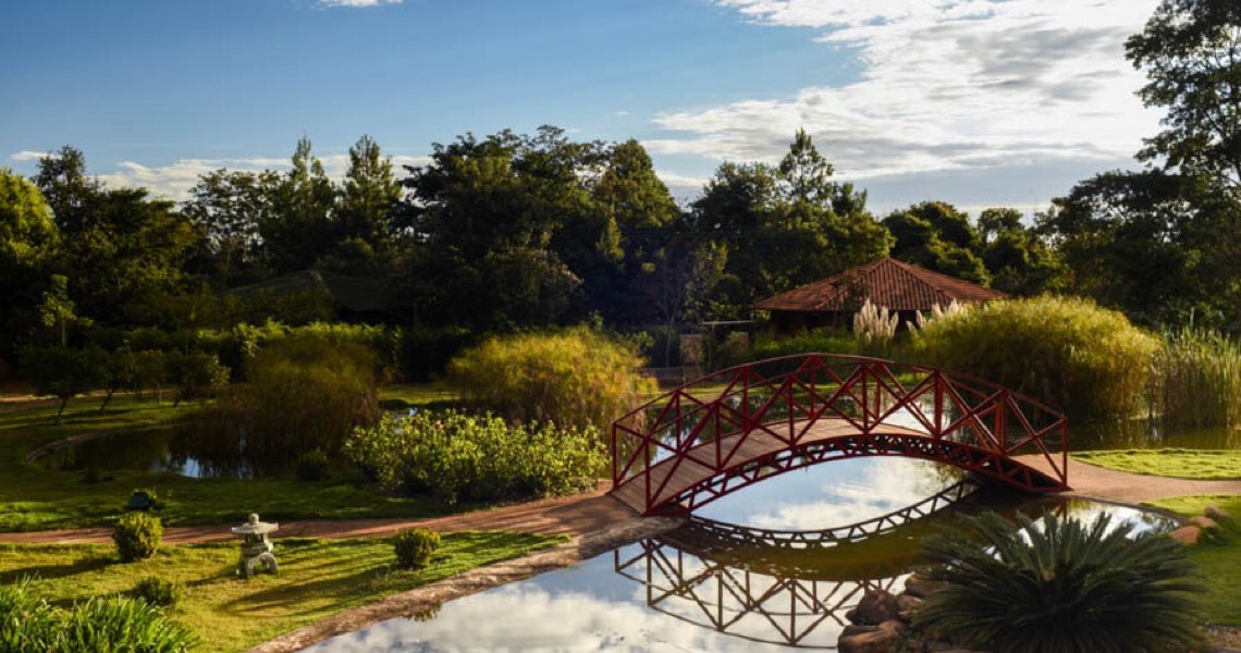 Jardim Botânico de Brasília libera acessos e autoriza ensaios fotográficos