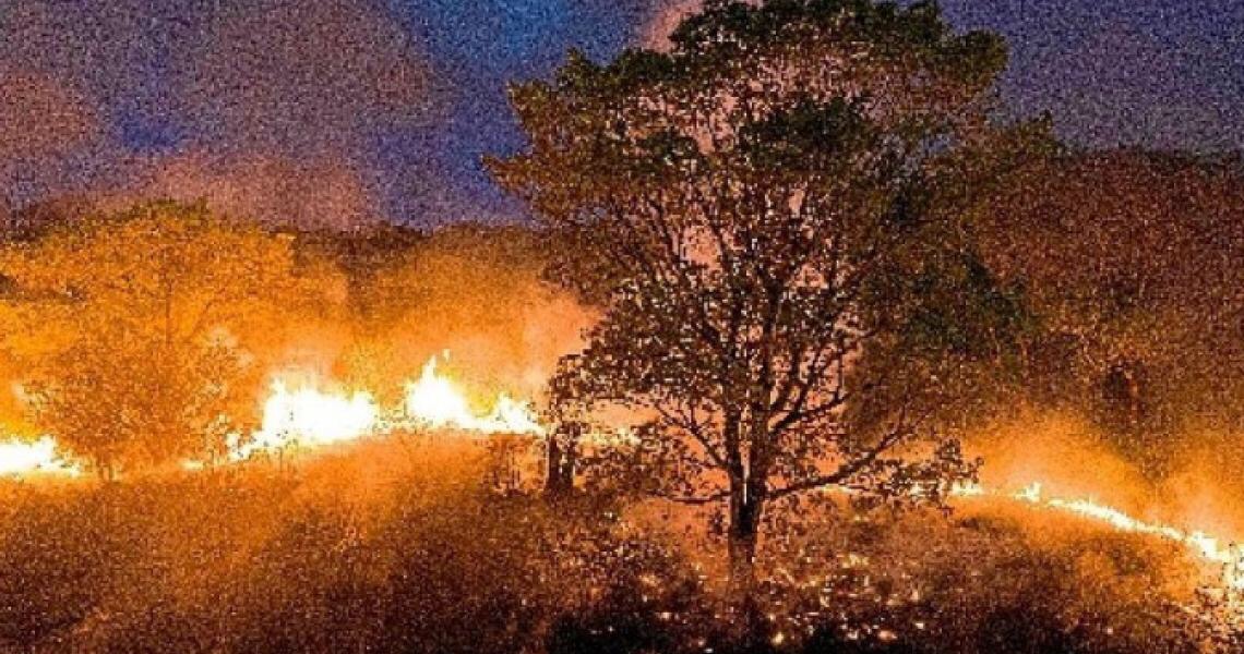 Queimadas se alastram pelo Brasil, atingindo Pantanal, Amazônia e cerrado
