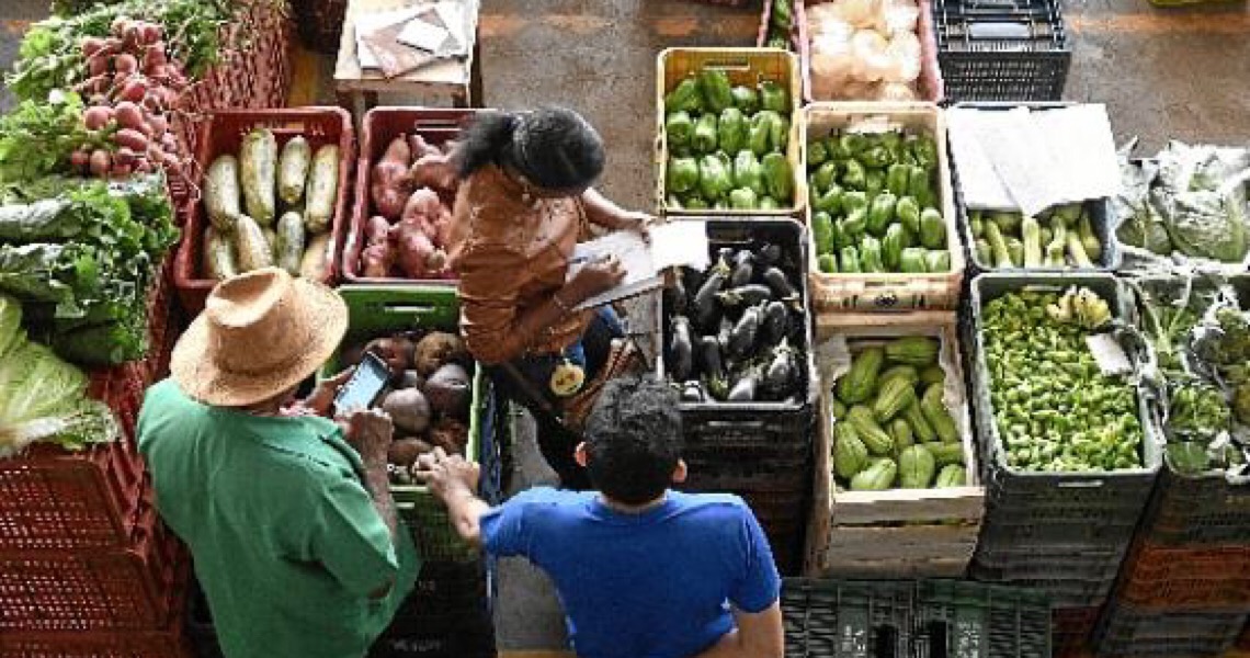 Calor afeta a produção de hortaliças. E vai piorar, antes das chuvas