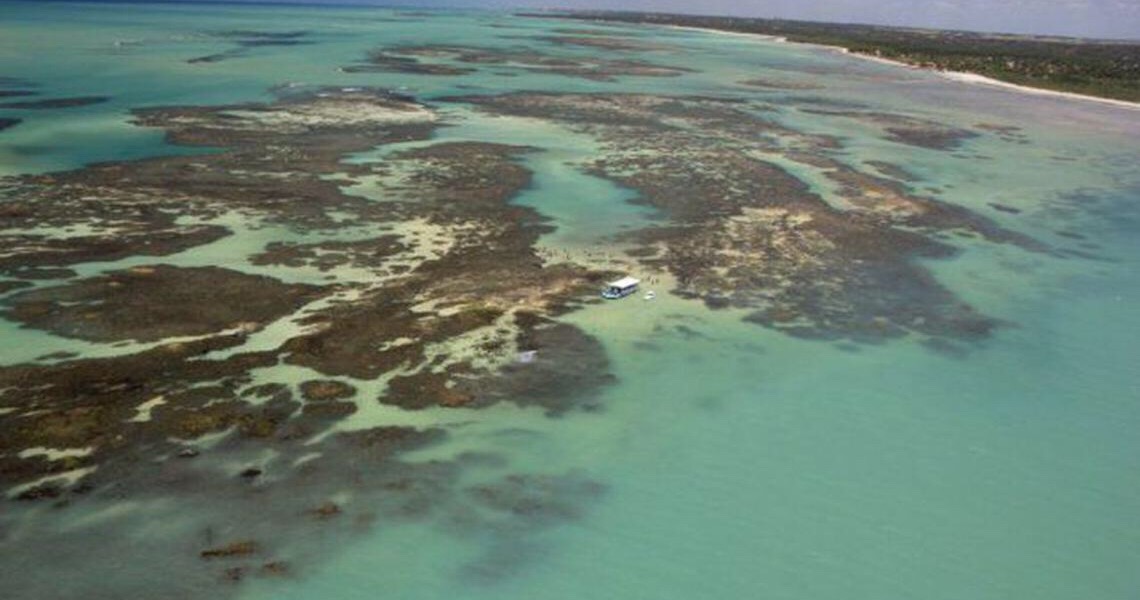 Aquecimento dos oceanos pode mudar recifes de corais, mostra estudo