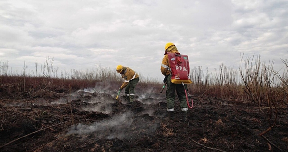 Incêndios comprometem zonas úmidas na Argentina e país enfrenta crise hídrica