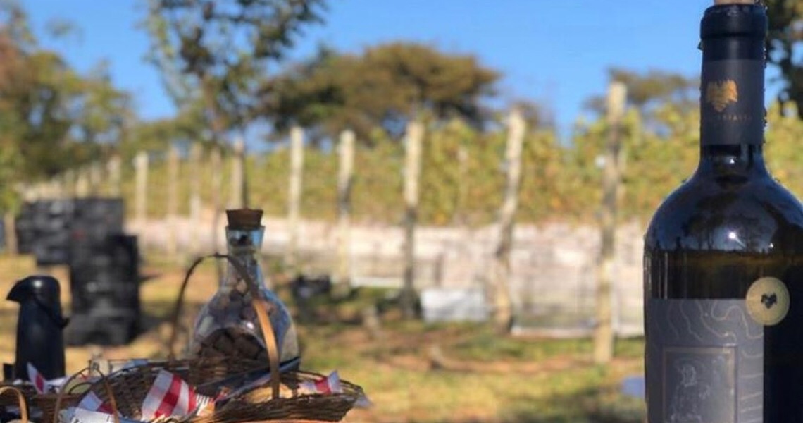 Produtor faz primeiro vinho 100% brasiliense para ser lançado em 2021