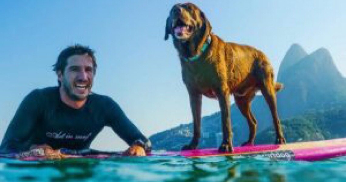 O cão que vive sobre as ondas