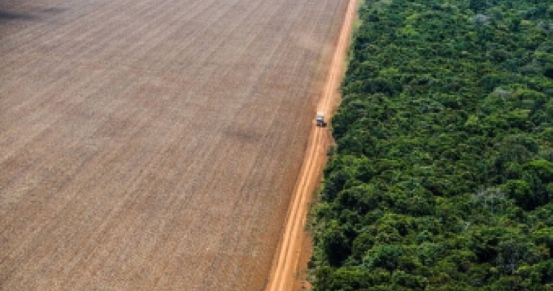 Brasil vai receber R$ 163 milhões da Alemanha para sustentabilidade na Amazônia