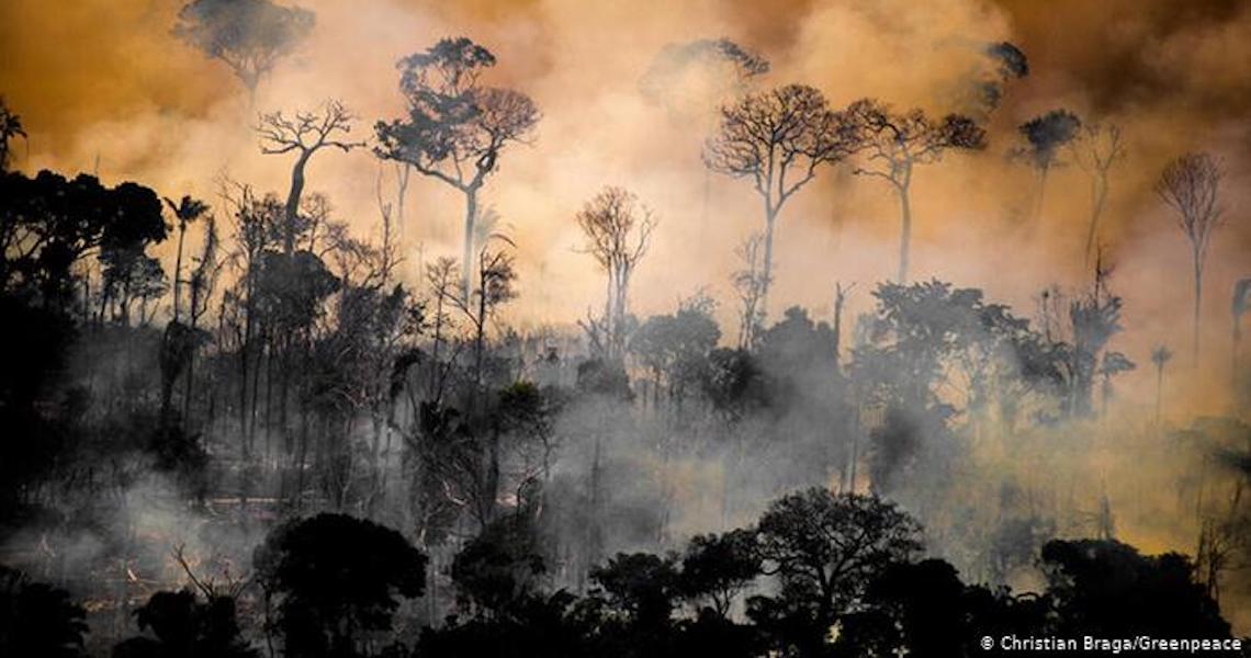 Incêndios na Amazônia deixam rastro de destruição por décadas