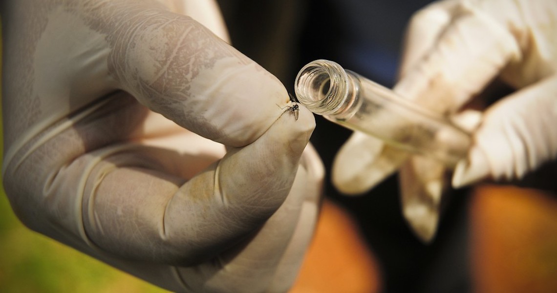 Distrito Federal registra 46,2 mil casos de Dengue e 44 mortes