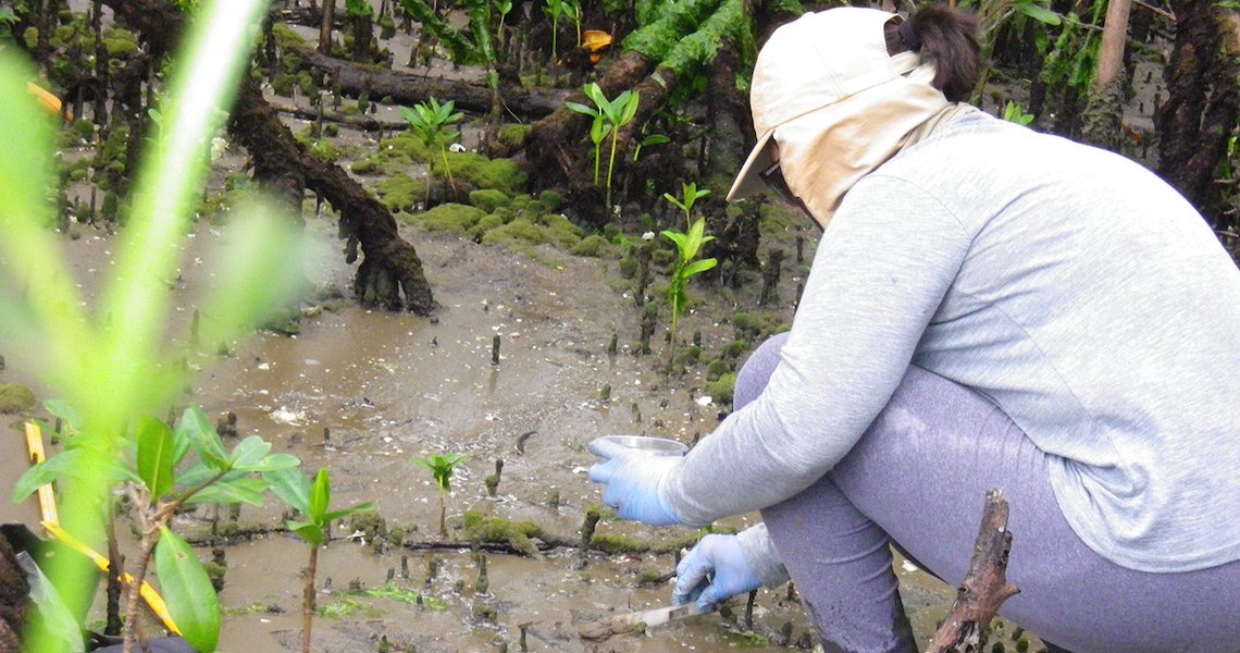 Baía de Paranaguá: Pesquisa da UFPR detecta substâncias cancerígenas
