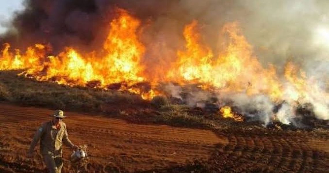 Comissão atribui as queimadas do Pantanal à ação humana e à má conduta governamental