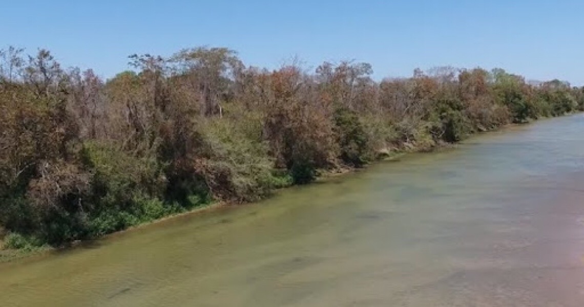 Anotações em tempos de Corona